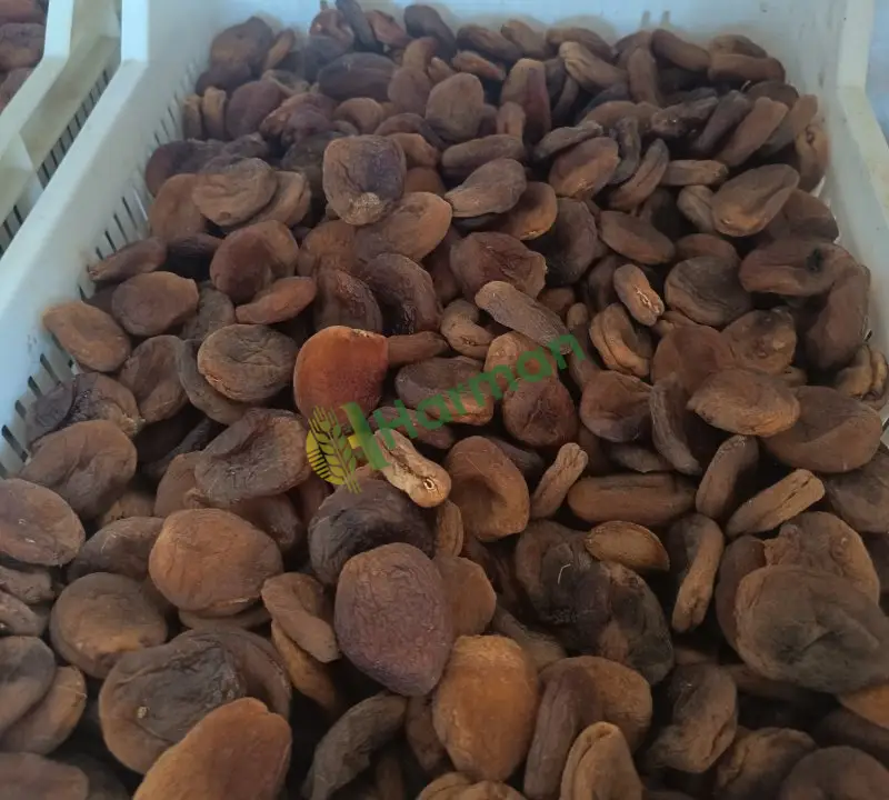 Naturel kuru kayısı