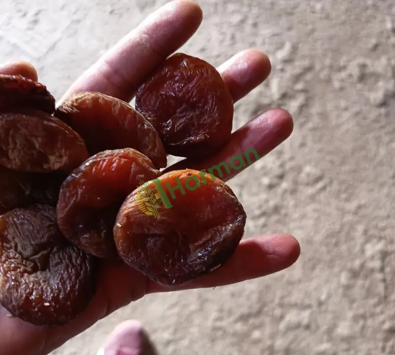 Naturel kuru kayısı
