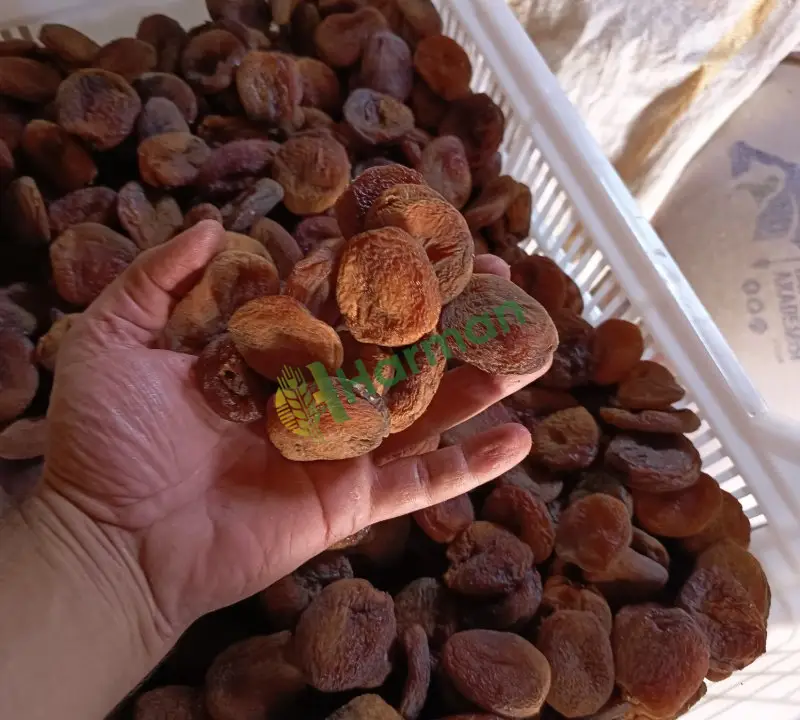 Naturel kuru kayısı