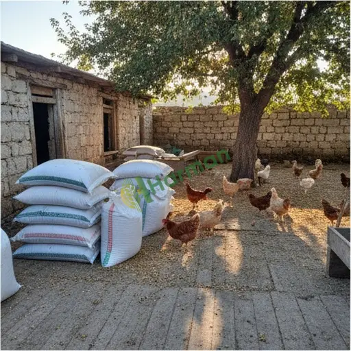 Nevşehir Kozaklı'da kanatlı yem alınacak