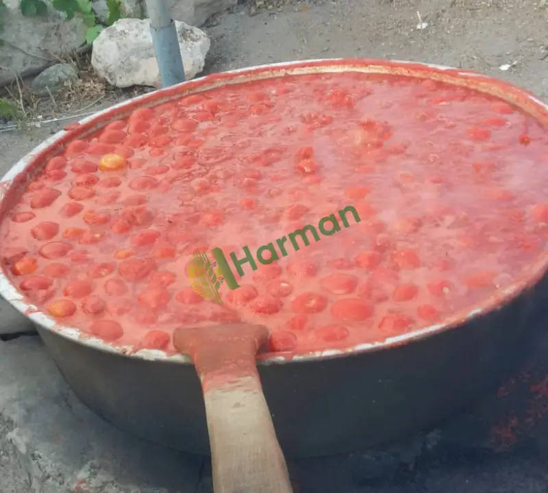 Nevşehir Yöresel Kaynatma Domates Salçası