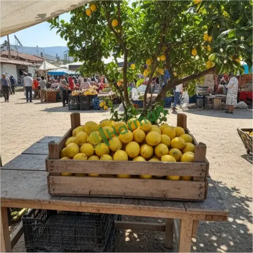 Niğde Ulukışla · Aranan Limon Bahçesi - 93 Dönüm
