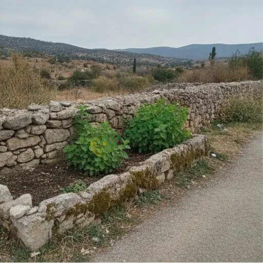 Oğulotu alınacak - Burdur Gölhisar