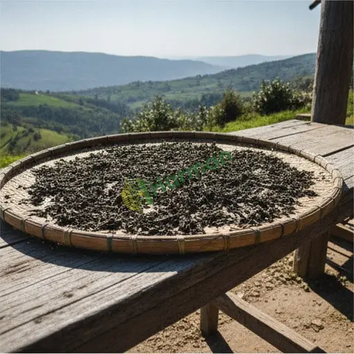Burdur Kemer'de oolong çay alınır
