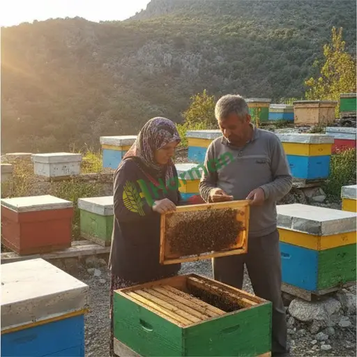 Ordu Kumru'da arıcılık danışmanlığı veriyorum