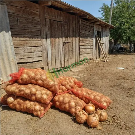Ordu Korgan'da soğan satılık