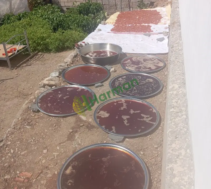 Organik Adıyaman üzüm pekmezi