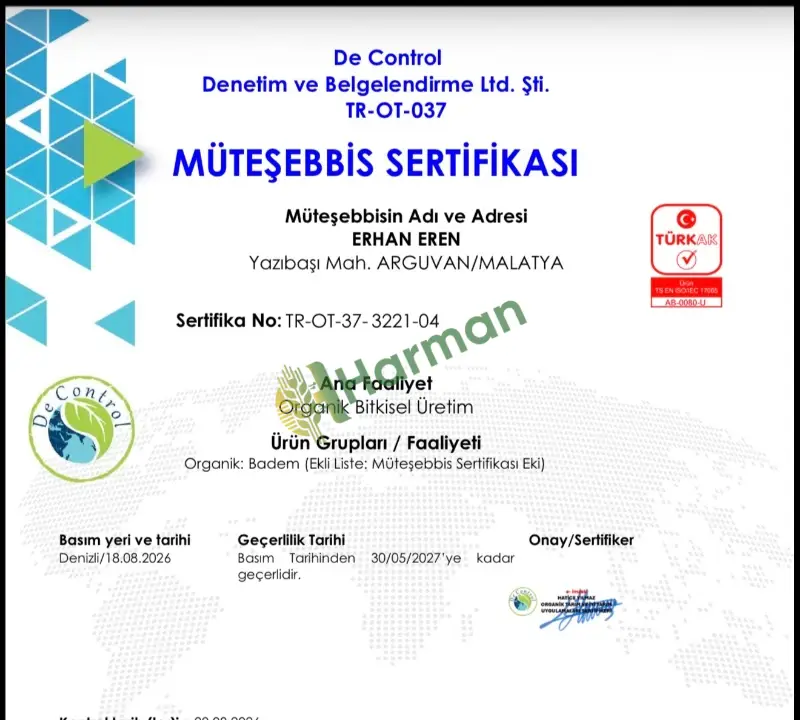 Organik Ferragnes Ferraduel kabuklu badem