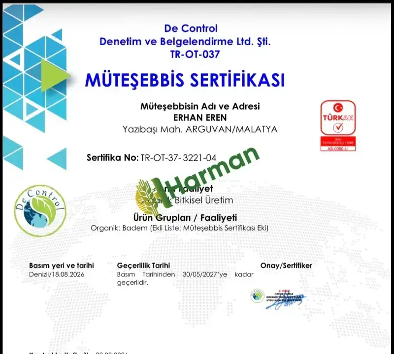 Organik Ferragnes Ferraduel kabuklu badem
