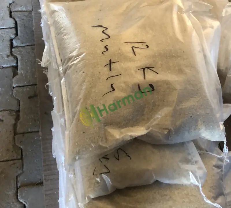 Organik kazdaglarının eteklerinde yetişmiş damlama usulü sulama ile sulanmış