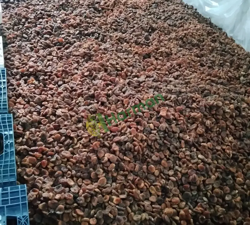 Organik kuru kaysı