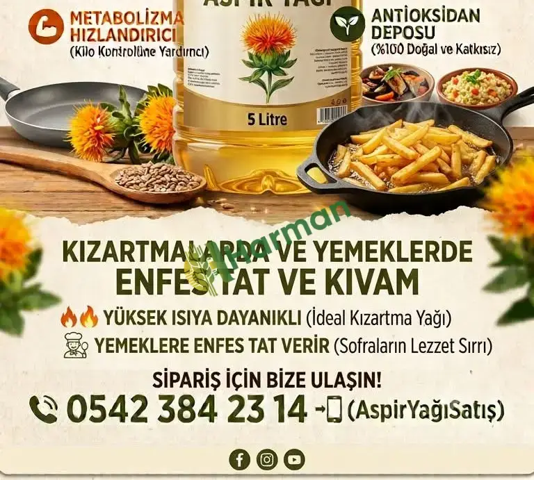 Organik soğuk sıkım aspir yağı