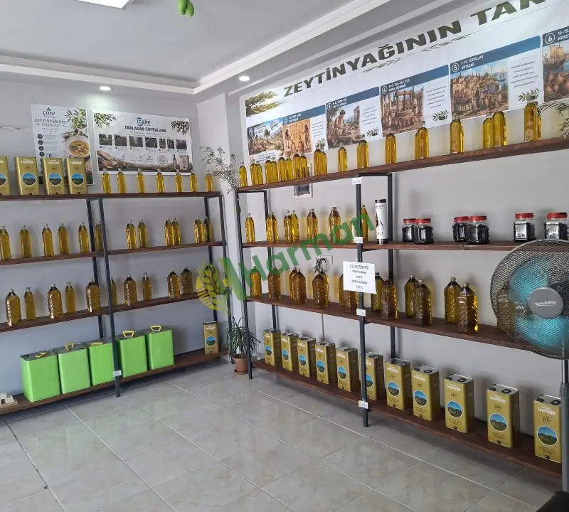 Organik zeytinyağı