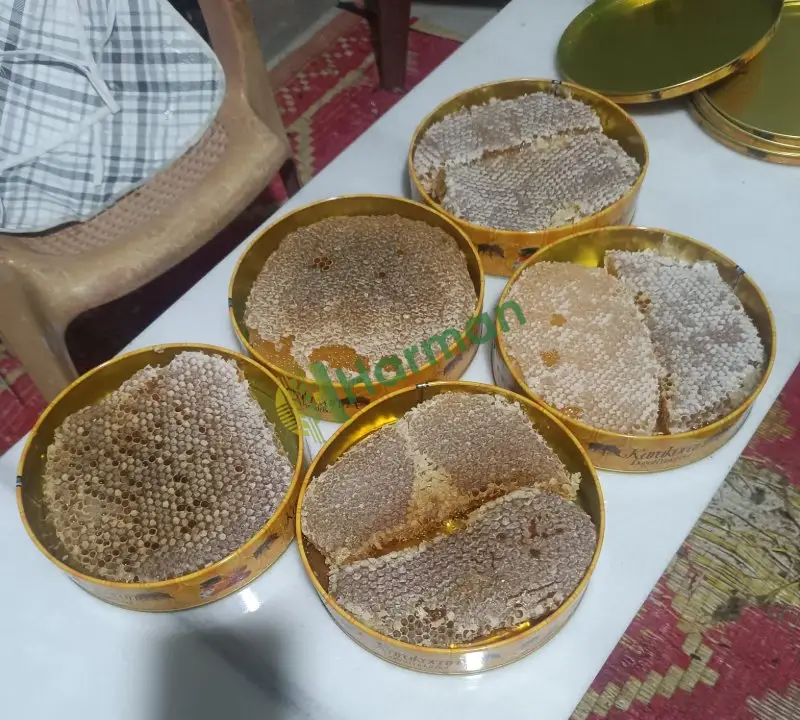 Orijinal kara kovan Siirt balı