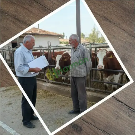 Osmaniye Kadirli'de hayvancılık danışmanlığı satılık