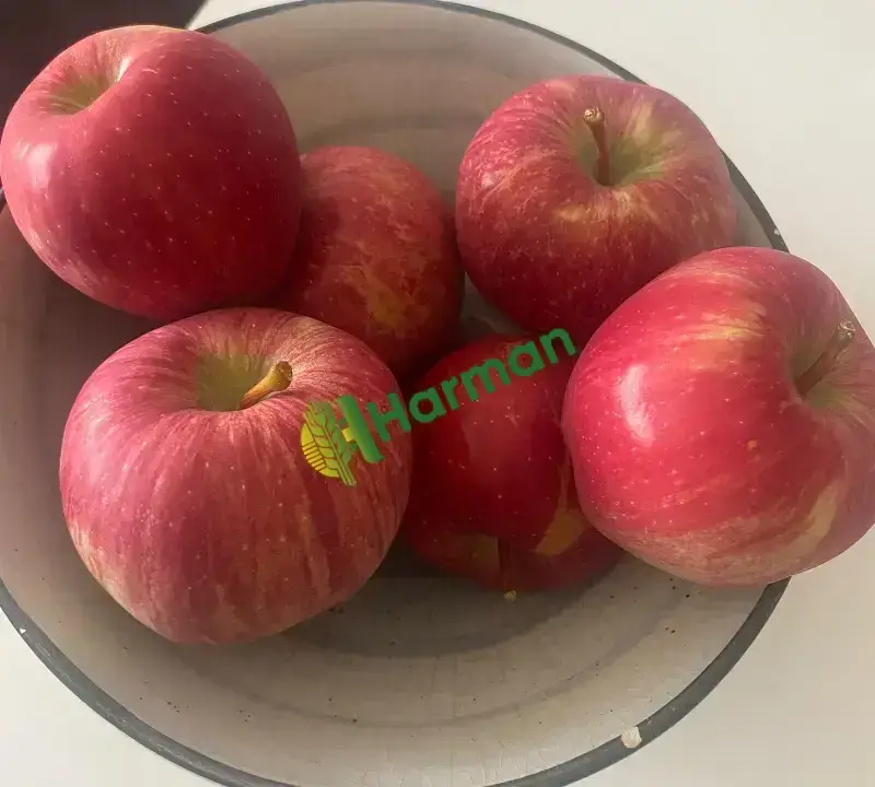 Özenle ve olabildiğince doğal