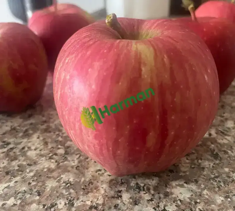 Özenle ve olabildiğince doğal
