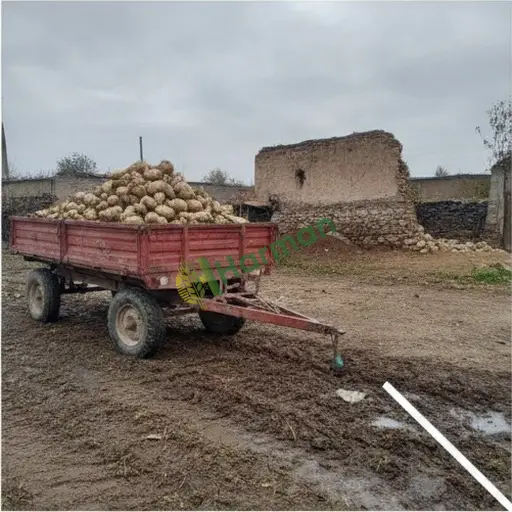 Tokat Merkez'de pancar alıcısıyım