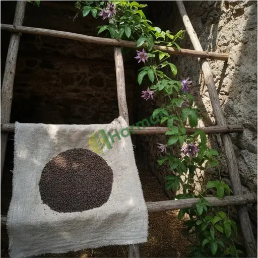Siirt Şirvan'da passionflora tohumu alıyorum