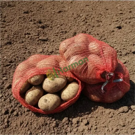 Zonguldak Merkez'de patates alıyorum