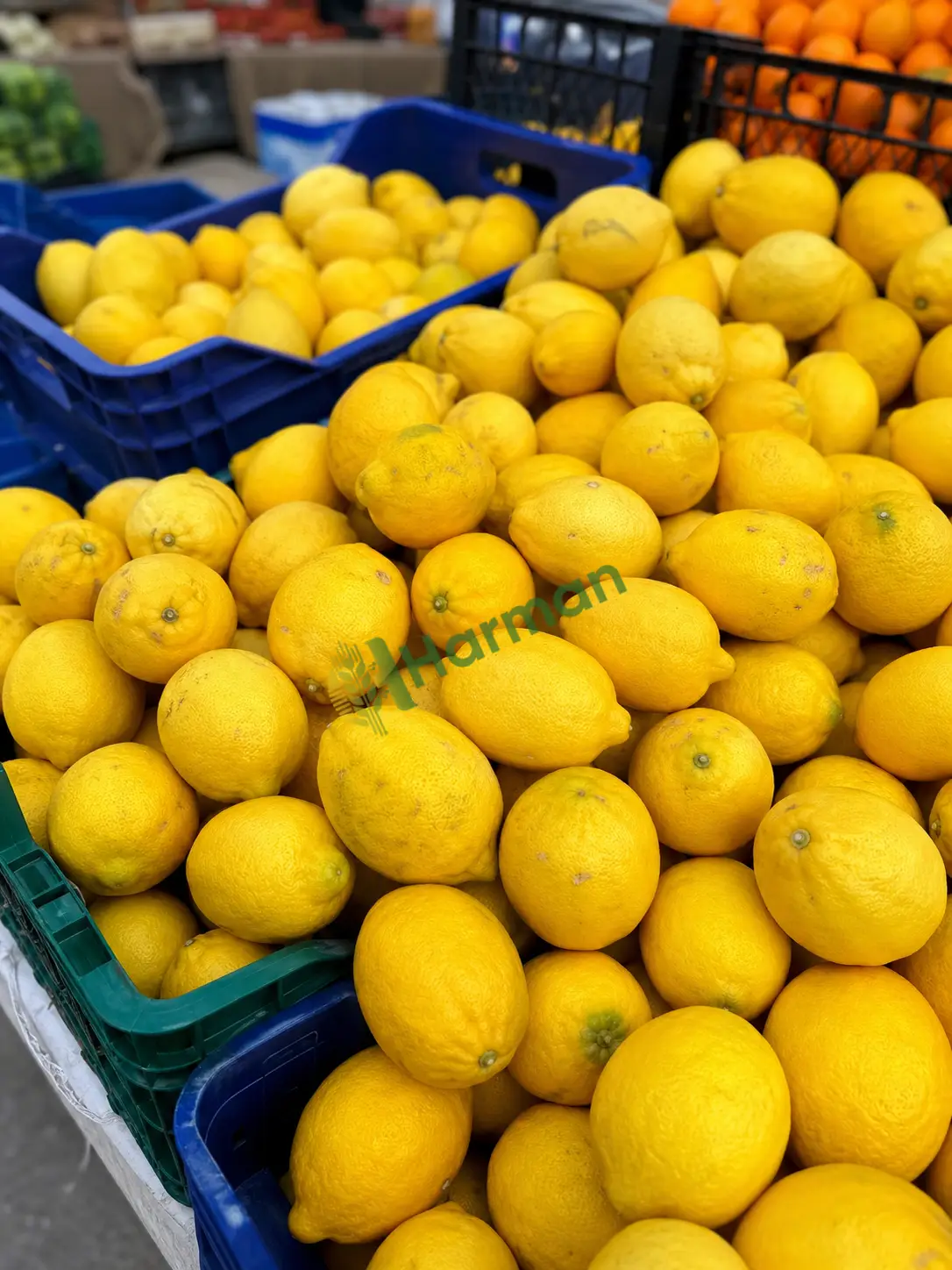 Pazar tezgahıma limon arıyorum
