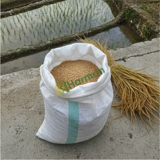 Aranan Çeltik - Zonguldak Merkez