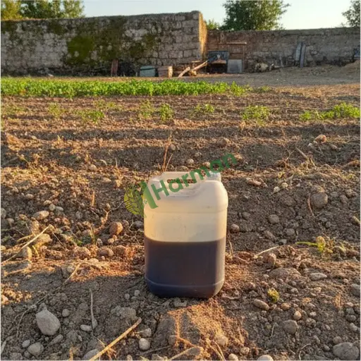 Giresun Çamoluk'ta protein hidrolizatı alınacak