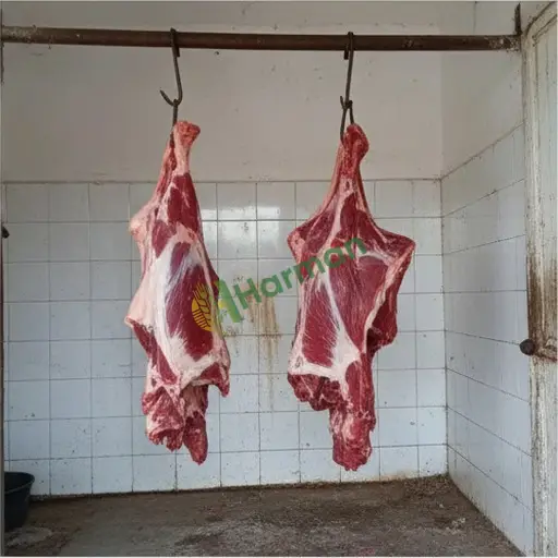 Rize Fındıklı'dan Sığır Eti Karkas Arayan
