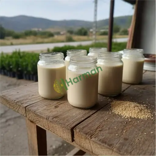 Rize Fındıklı'da tahin aranıyor