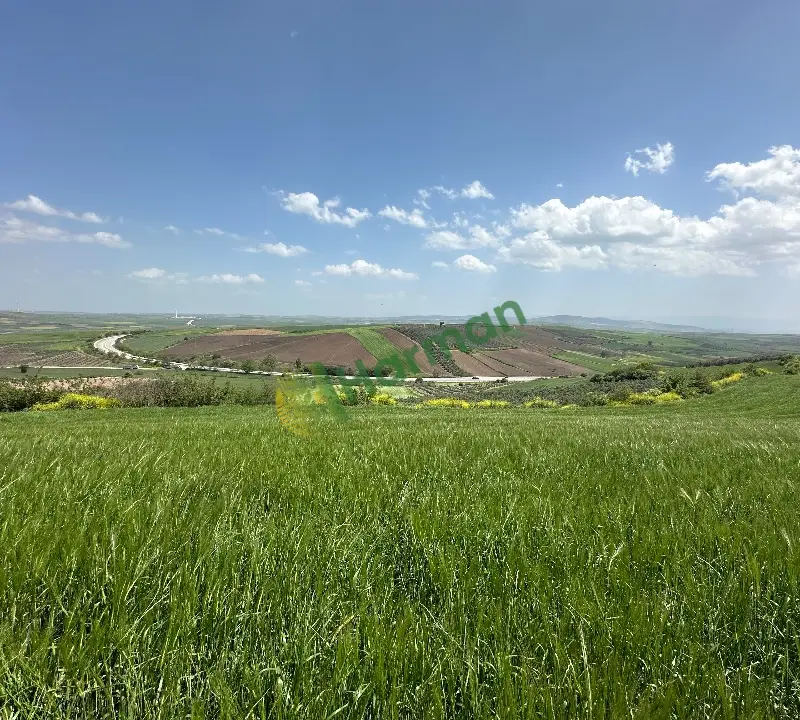Sahibinden 17 Dönüm Deniz Manzaralı Tarla