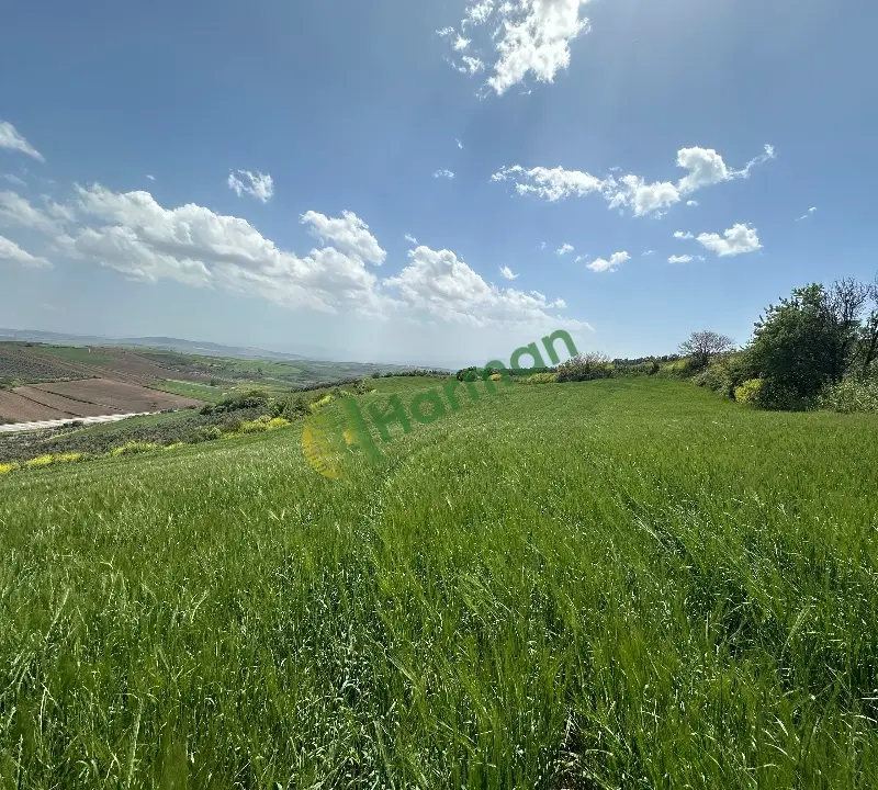Sahibinden 17 Dönüm Deniz Manzaralı Tarla