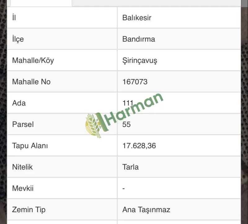 Sahibinden 17 Dönüm Deniz Manzaralı Tarla
