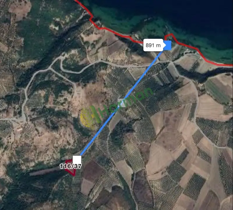 Sahibinden Satılık 110 Ağaç Zeytinlik