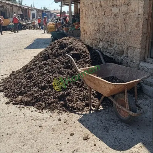 Sakarya Erenler kompost toptan alınır