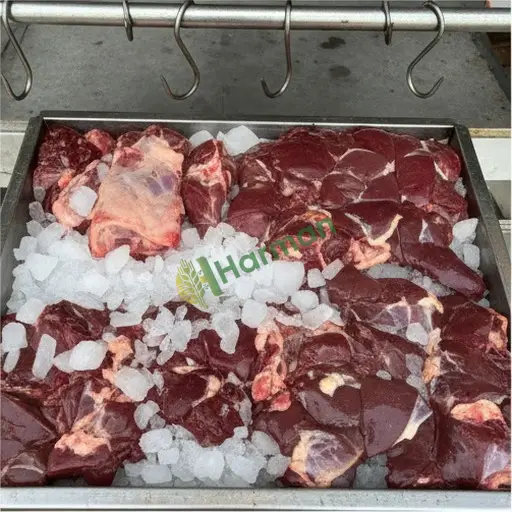 Kilis Elbeyli'de sakatat alan var