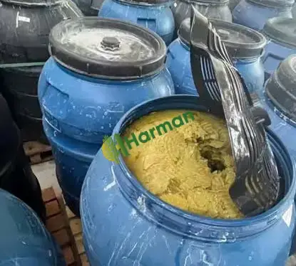 Salamura asma yaprağı