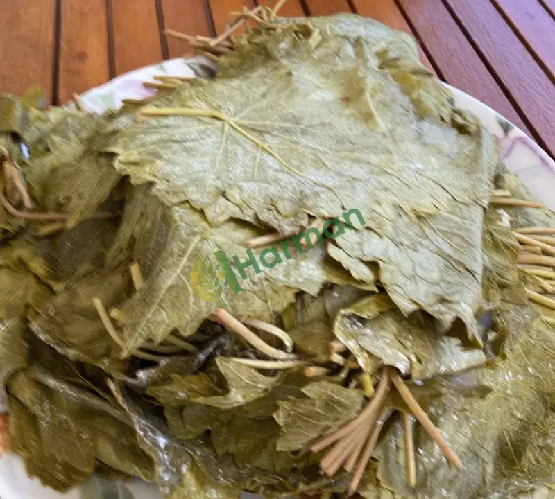 Salamura Sarmalik Erbaa Üzüm Yaprağı