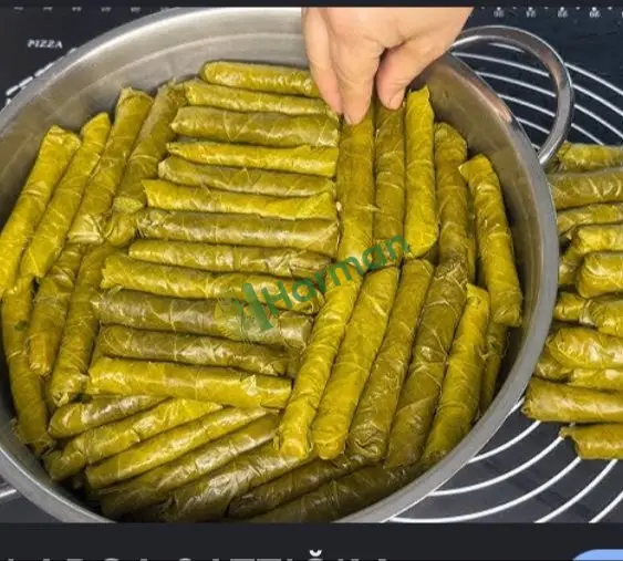 Salamura Sarmalik Erbaa Üzüm Yaprağı