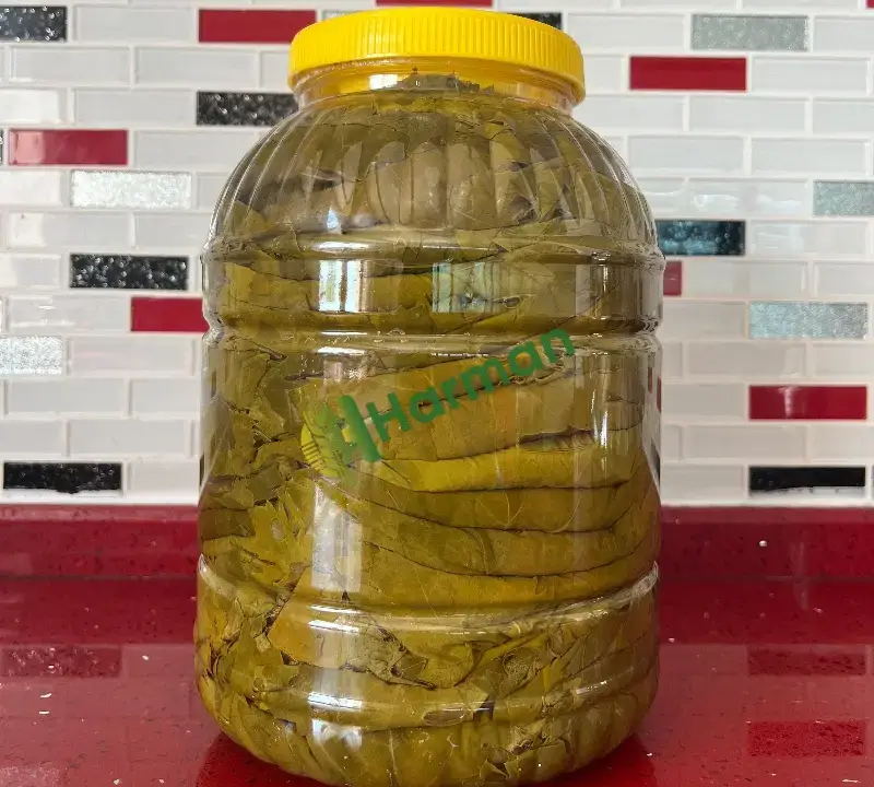 Salamura Tokat Yaprağı