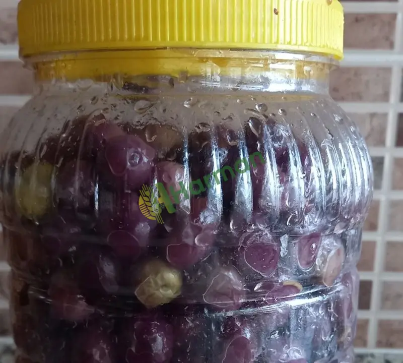 Salamura yeşil ve kuru siyah zeytin