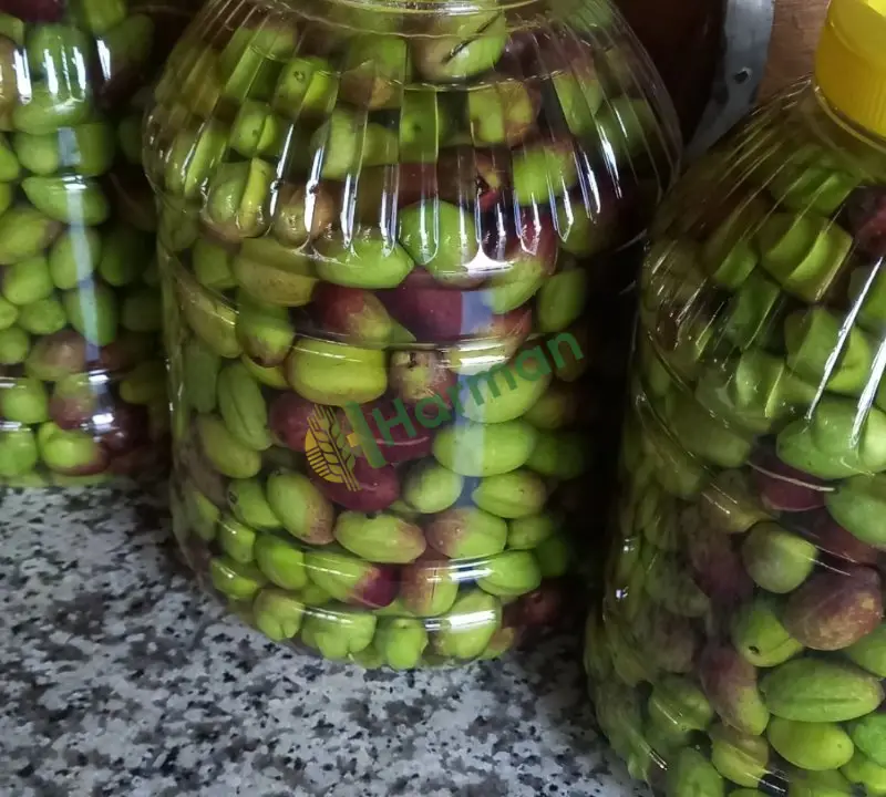 Salamura yeşil ve kuru siyah zeytin