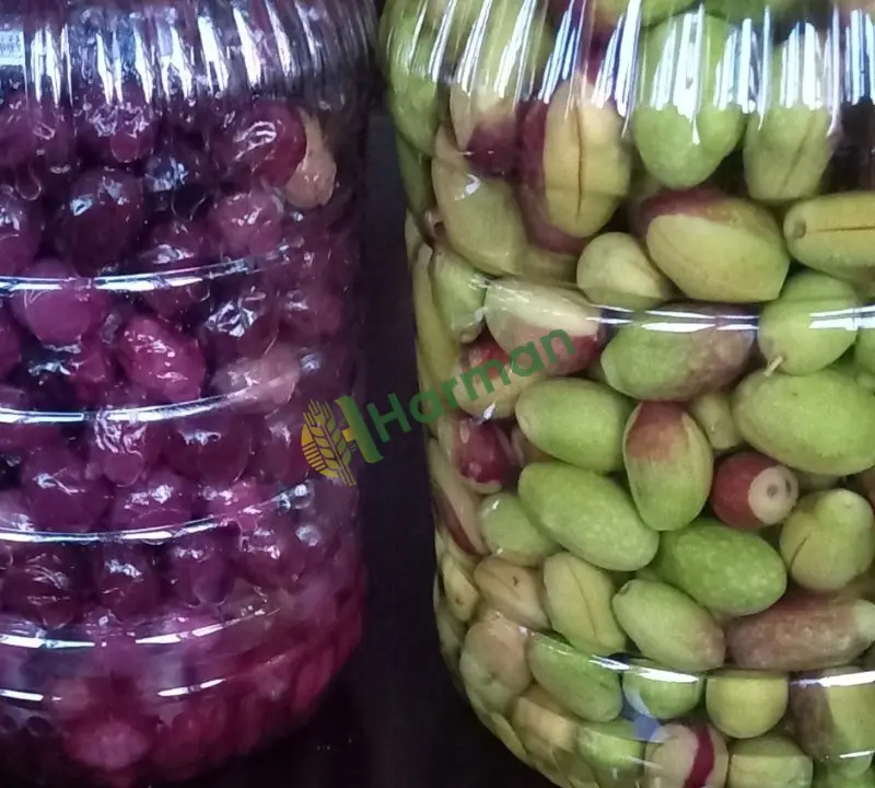 Salamura yeşil ve kuru siyah zeytin