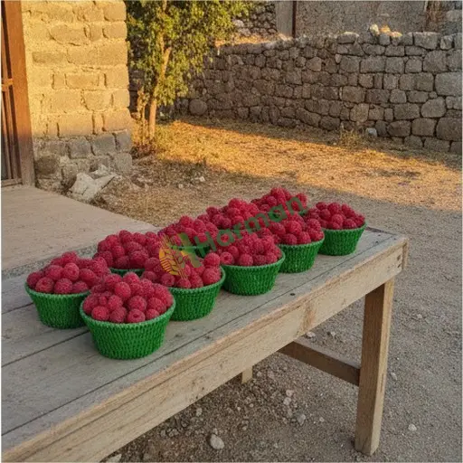 Şanlıurfa Viranşehir frambuaz lazım