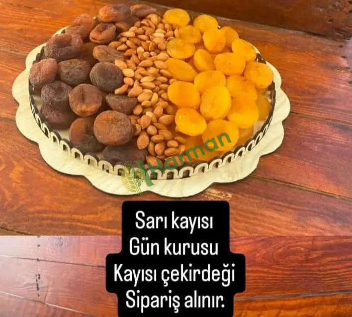 Kayısı Diğer hal fiyatı