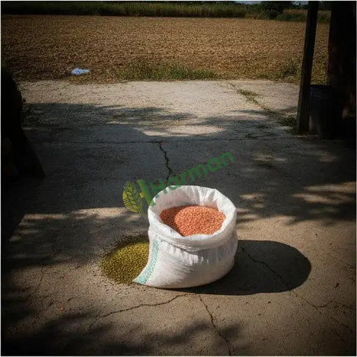 Bayburt Merkez'de mercimek alıcısıyım