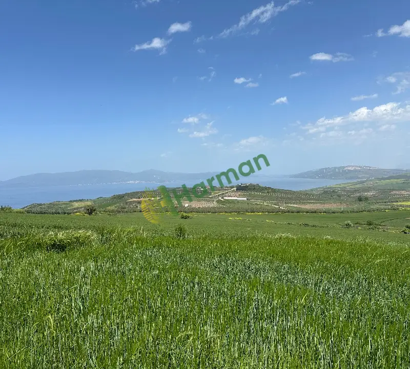 Satılık 10 Dönüm Deniz Manzaralı Tarla