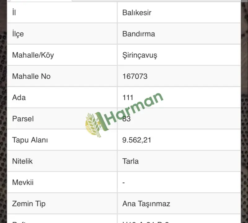 Satılık 10 Dönüm Deniz Manzaralı Tarla