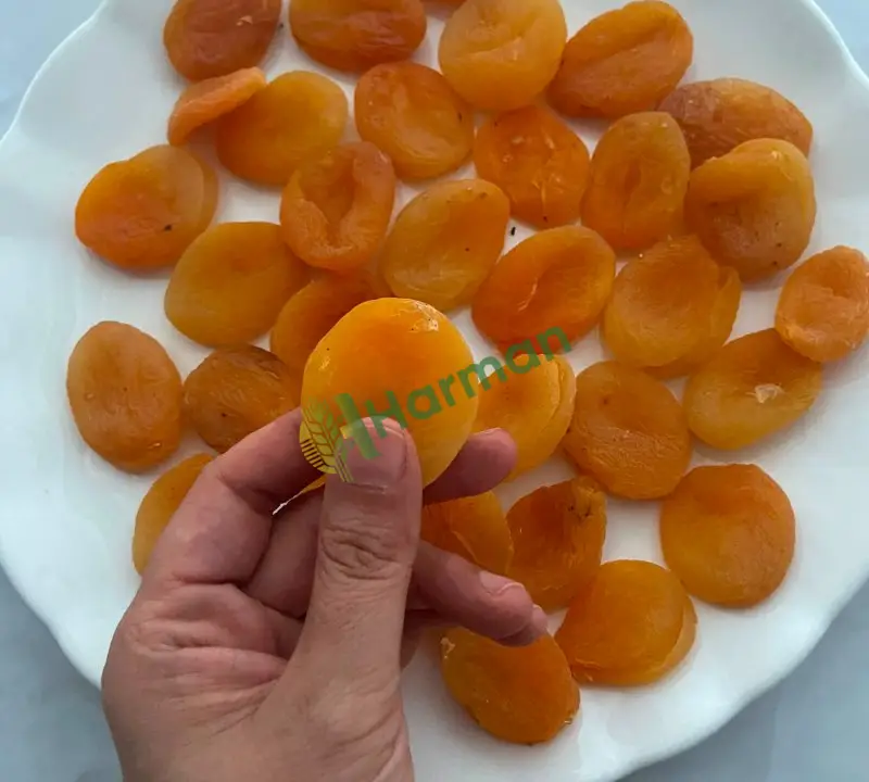 Satılık 10 ton kuru sayı kayisi
