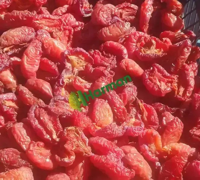 Satılık 15 Ton Çekirdeksiz Kuru Kırmızı Erik - 10 KG Kasalarda ".