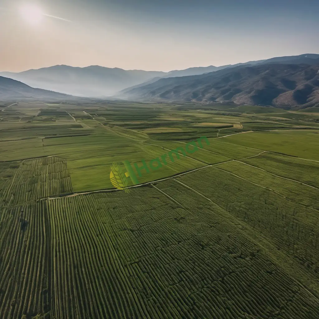 Satılık Anıza Doğrudan Ekim Makinesi — Kayseri İncesu · 1 Adet